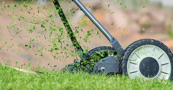 Tagliaerba a batteria in azione sul prato